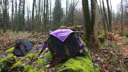 Lila Teamer-Halstuch auf Baumstamm im Wald mit Moos